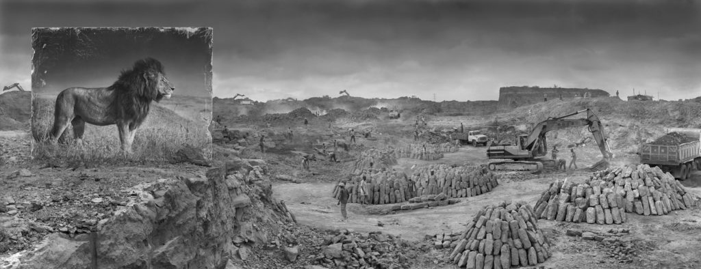 La disparition de la faune africaine par Nick Brandt