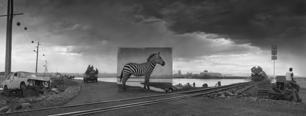 La disparition de la faune africaine par Nick Brandt