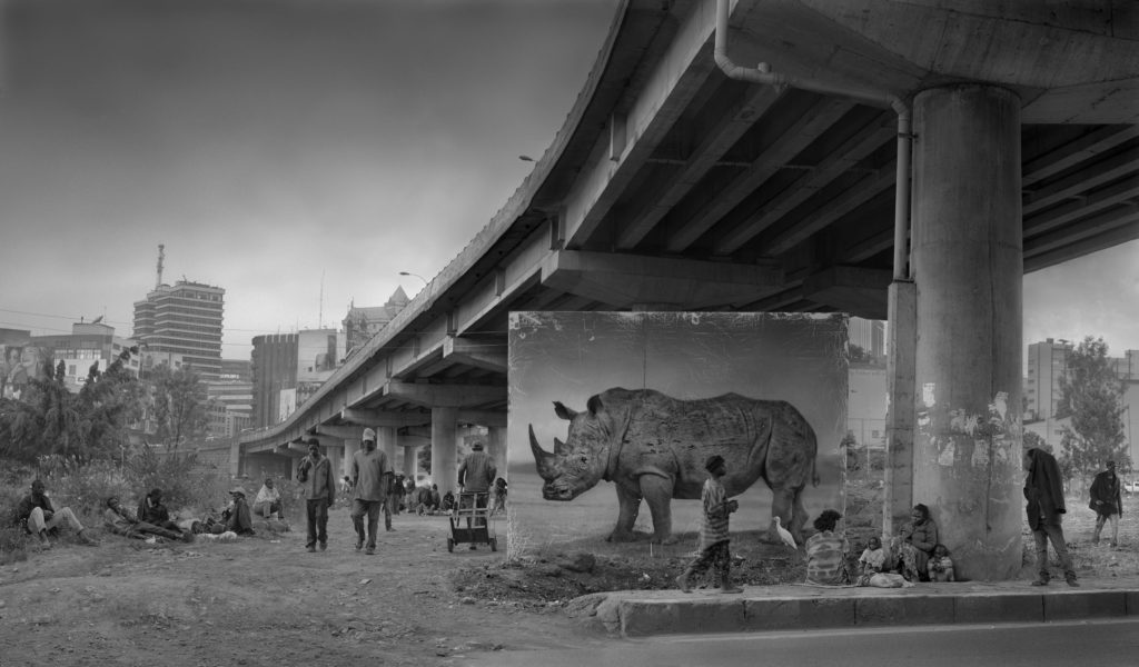 La disparition de la faune africaine par Nick Brandt