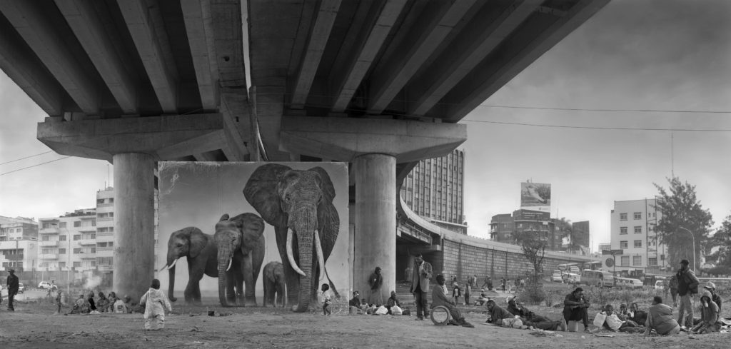 La disparition de la faune africaine par Nick Brandt