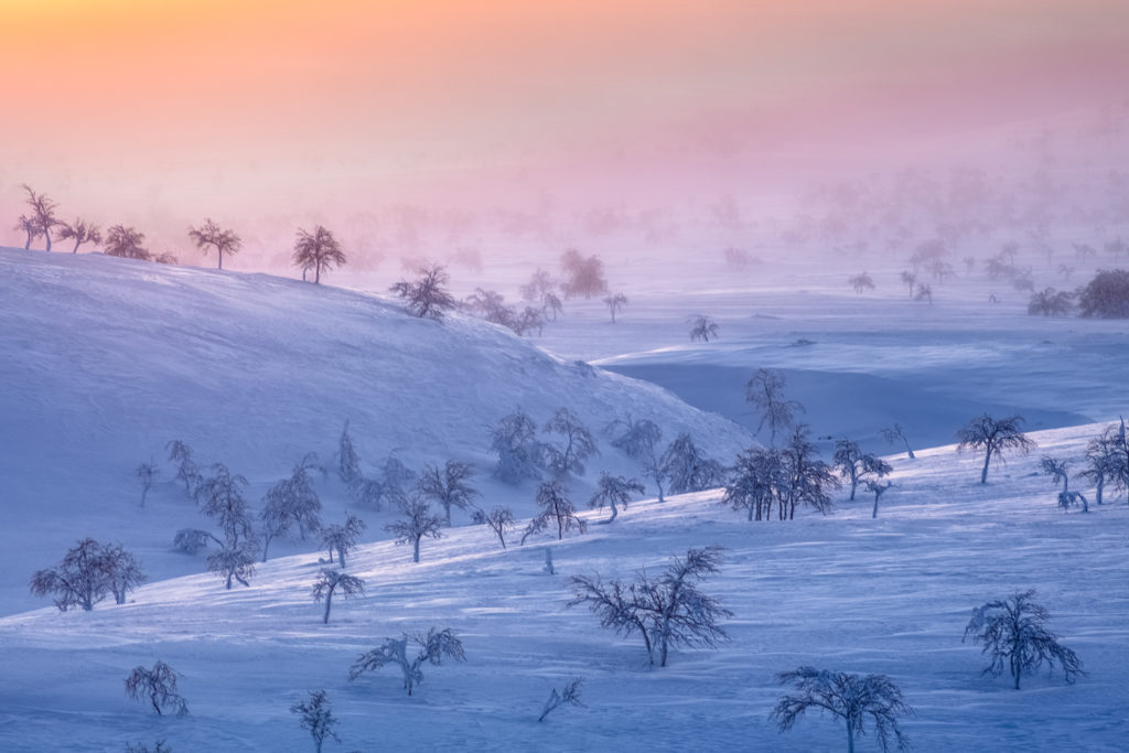 Le désert arctique par Tiina Törmänen
