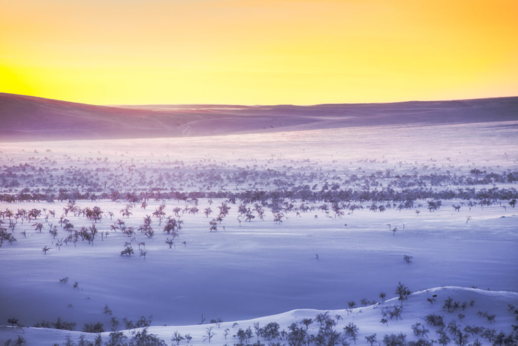 Le désert arctique par Tiina Törmänen