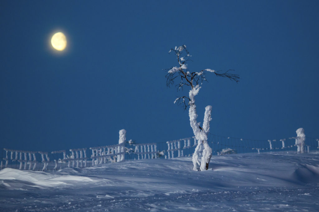 Le désert arctique par Tiina Törmänen