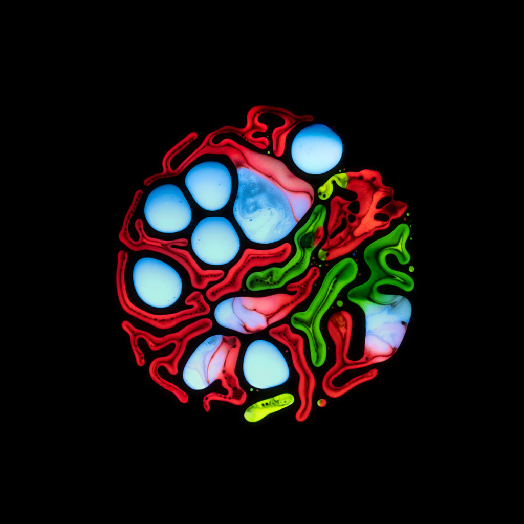 Haematopoiesis par Rubén Álvarez