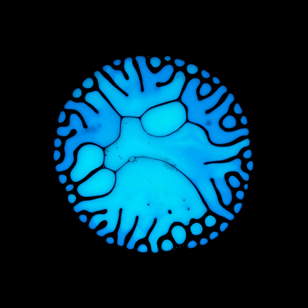 Haematopoiesis par Rubén Álvarez