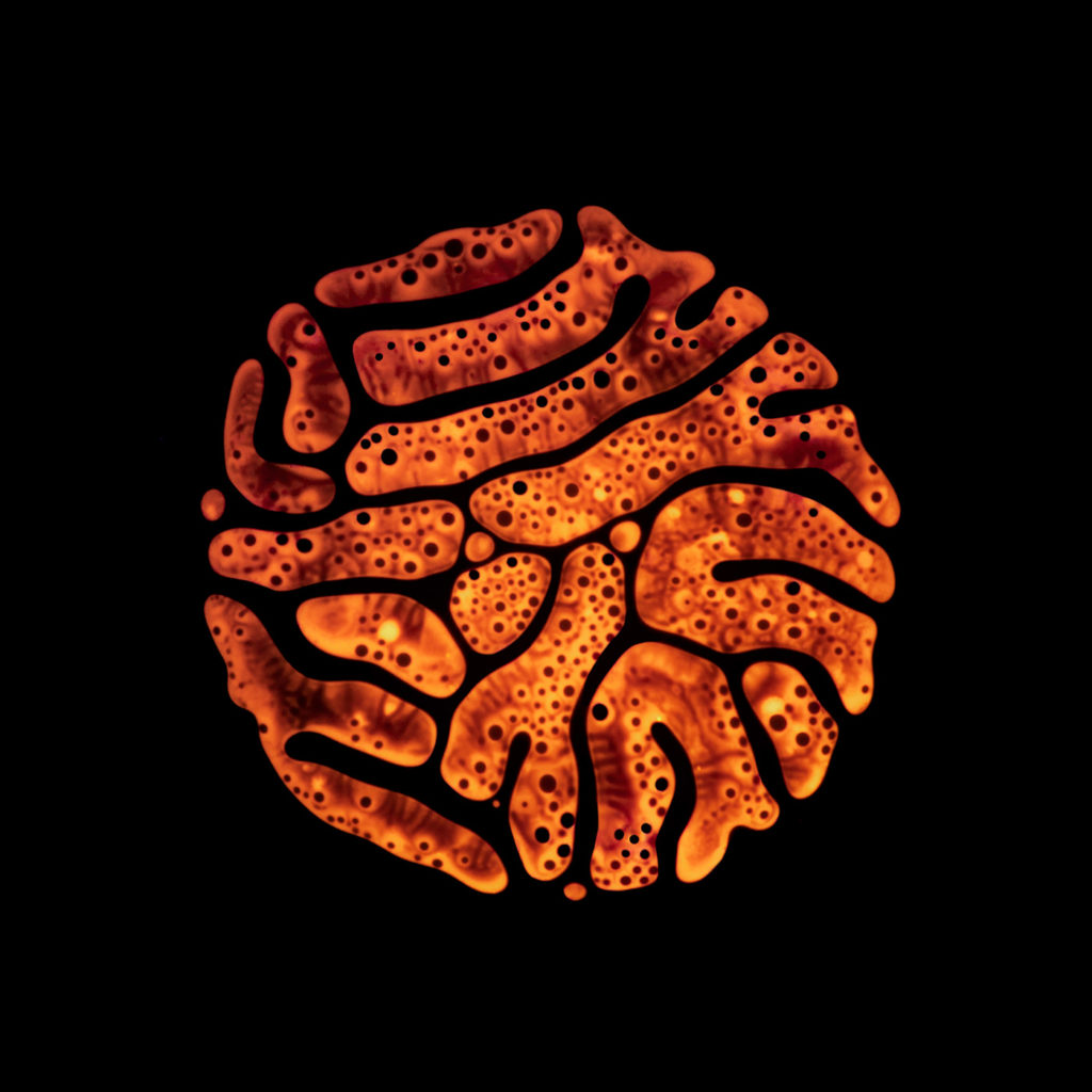 Haematopoiesis par Rubén Álvarez