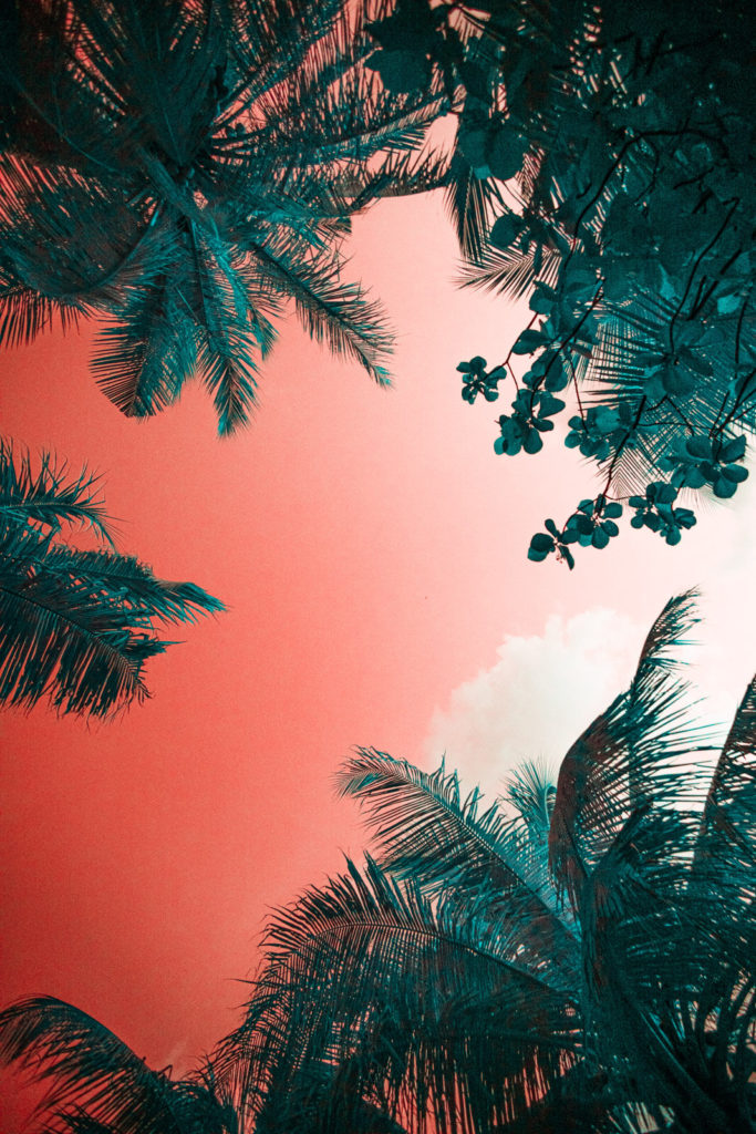Les Maldives en infrarouge par Paolo Pettigiani