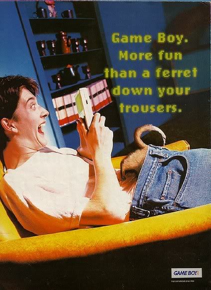 Game Boy. More fun than a ferret down your trousers.