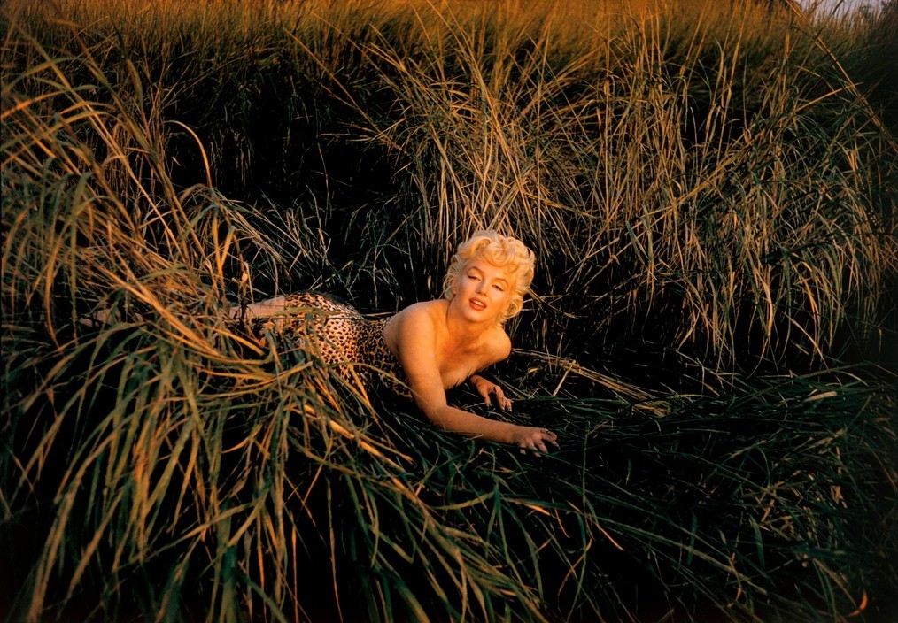 ETATS-UNIS. New York. Long Island. Mont Sinaï. L'actrice américaine Marilyn MONROE. 1955. EVE ARNOLD