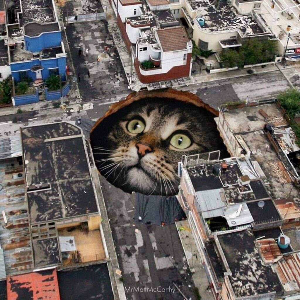 chat géant sort tête trou ville