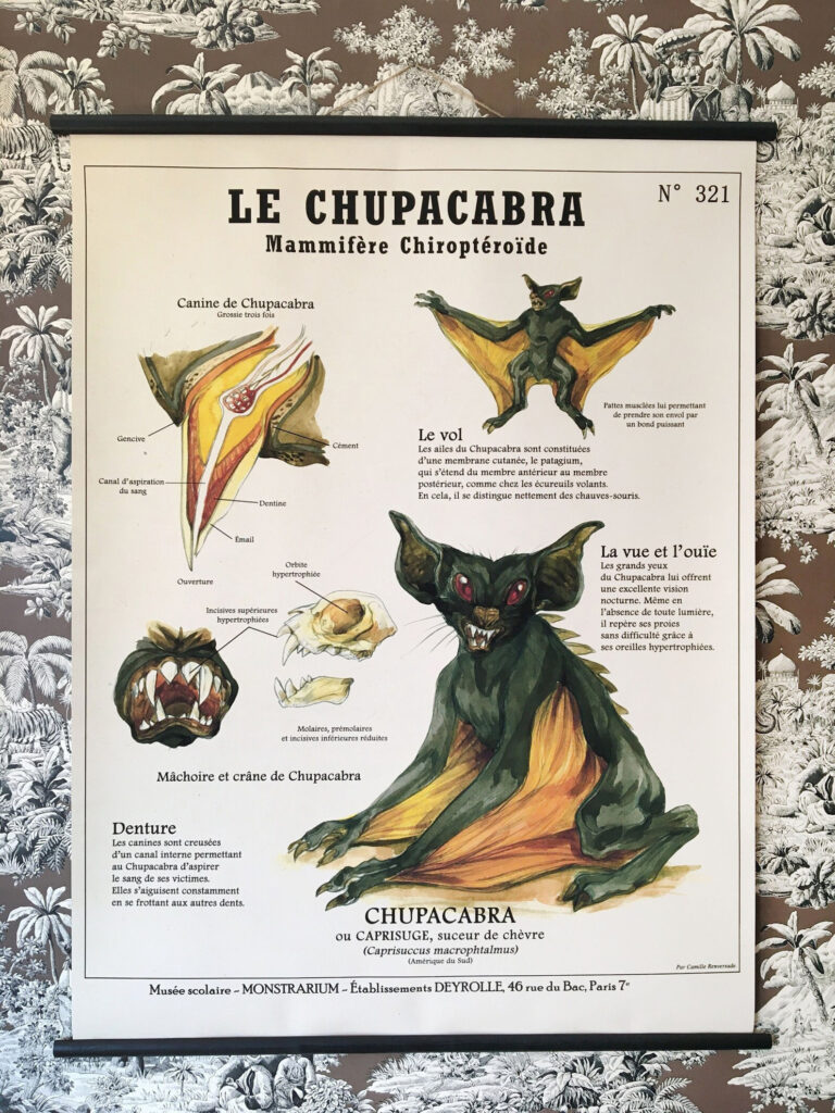 chupacabra chiroptéroïde