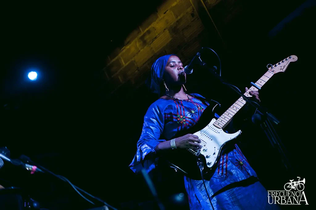 Guitare électrique des Filles de Illighadad en concert en novembre 2017